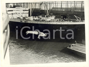1953 NEW YORK HARBOUR - Edgar FOSTER dives from RMS Queen Elizabeth *Photo 20x15