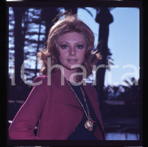 6X6cm NEGATIVO ORIGINALE * 1970 ca ITALIA CINEMA Sylva KOSCINA Ritratto (1)