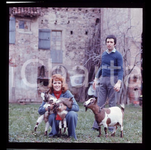 6X6cm NEGATIVO ORIGINALE * 1970 ca ITALIA MUSICA Orietta BERTI Osvaldo PATERLINI