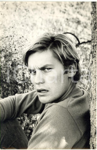 1970 ca CINEMA - Helmut BERGER - Ritratto dell'attore (4) *Foto VINTAGE 18x28 cm
