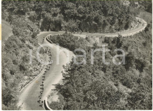 1953 GIRO D'ITALIA Tappa Bordighera-Torino - Il gruppo sul COL DI NAVA *Foto