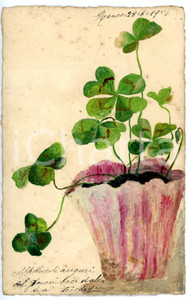 1904 RONCO Vaso di quadrifogli *Cartolina colorata a tempera FP VG