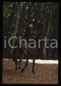 35mm vintage slide*1995 LA FAMIGLIA RICORDI - Kim ROSSI STUART Ritratto 