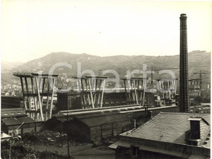 1965 ca GENOVA Costruzione PONTE MORANDI -  Veduta dei piloni - Foto 24x18 cm