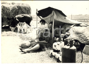 1957 ALLUVIONE POLESINE Sfollati in un campo sotto una tenda *Foto 18x13 cm