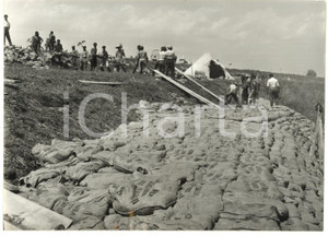 1957 ALLUVIONE DEL POLESINE Costruzione di un argine con sacchi di sabbia *Foto