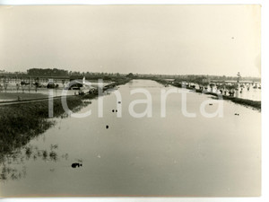 1957 ALLUVIONE DEL POLESINE - ISOLA DI ARIANO Campagne allagate *Foto 18x13 cm