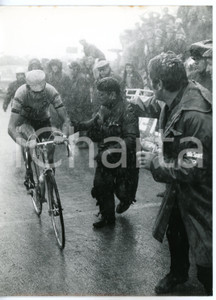 1968 CICLISMO GIRO D'ITALIA Tre cime di Lavaredo - Felice GIMONDI all'arrivo  Fotografia d'epoca con didascalia coeva.  CONDIZIONI: FAIR (bassa qualit&agrave; di stampa; lieve ondulatura al margine destro) FORMATO: 18x24 cm     originale e autentica 1