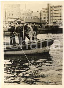 1955 ca BERGEN HARBOUR (NORWAY) Rescue of a polar bear fallen *Photo 15x20 Fotografia d'epoca con didascalia coeva al verso. CONDIZIONI: FAIR (sovraimpressioni e difetti di stampa)FORMATO: 15x20 cm    originale e autentica 1
