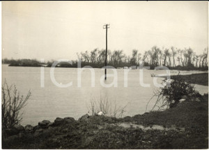 1957 AREA DI NUORO Campagne allagate per le piogge eccezionali - Foto 18x13