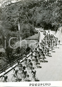 1954 PASSO DEL TURCHINO - CICLISMO 38° Giro d'Italia 12^ tappa - Gruppo in gara
