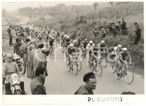 1953 CICLISMO MILANO-SANREMO Il gruppo al PASSO DELLA SCOFFERA - Foto