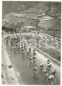 1957 MONTESILVANO (PE) CICLISMO Giro d'Italia - Il gruppo affronta i tornanti