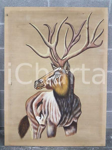 1975 CINA VINTAGE Primo piano testa di alce - quadro 85 x 115 cm