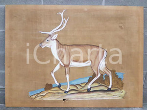 Cervo - quadro 85 x 115