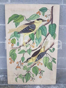 1975 CINA VINTAGE Cardellino americano su ramo con bacche - quadro 52 x 82 cm