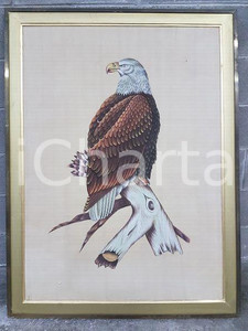 1970 VINTAGE Aquila di mare testa bianca - quadro 72 x 97 cm