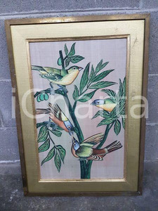 1970 VINTAGE Quattro passeroti colorati su ramoscelli - Quadro 42,8 x 60,5 cm