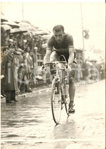 1957 CICLISMO GIRO D'ITALIA Louison BOBET nella crono individuale - Foto