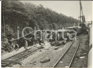 1957 WOENSEL (NL) Scontro fra treni - I vagoni sulle rotaie - Fotografia 18x13