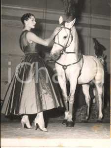 1955 ca FRANCE CIRQUE MEDRANO Présentation robe de MAGUY avec les chevaux *Photo