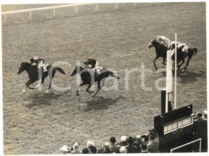 1958 NEWMARKET 2000 Guineas Stakes - Doug SMITH winning on PALL MALL *Photo
