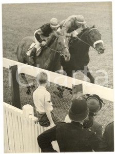 1953 CHICHESTER (UK) Goodwood Cup - Charlie ELLIOT winning on SOUEPI *Photo
