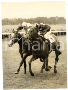 1956 SANDOWN PARK Arlington Stakes - Lester PIGGOTT against Eph SMITH *Photo