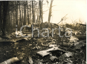 1958 WINKTON / CHRISTCHURCH Wreckage of BOAC BRITANNIA crashed - Photo 20x15 cm