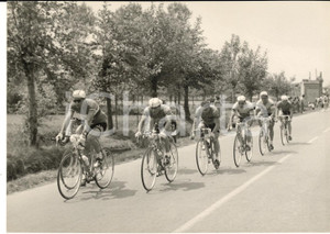 1955 ca CICLISMO Giro d'Italia - Passaggio del gruppo a PAULLO *Foto 18x13 cm