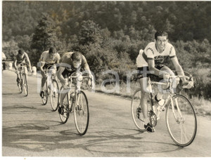 1958 CICLISMO - TRE VALLI VARESINE Aldo MOSER Gastone NENCINI Giorgio TINAZZI