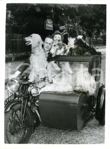 1953 LONDON - Mr. e Mrs. ROWE on the sidecar with their four dogs *Photo 15x20