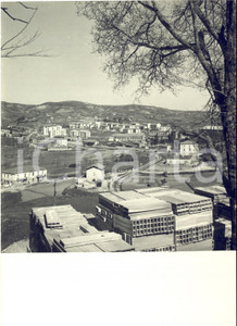1953 POTENZA - Ricostruzione post-bellica - Il nuovo quartiere SANTA MARIA *Foto