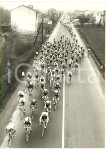 1959 CICLISMO - 50^ MILANO-SANREMO - Il gruppo nei pressi di Pavia *Foto 13x18
