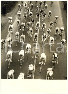 1959 CICLISMO - 50^ MILANO-SANREMO - I corridori dopo Pavia *Foto 13x18 cm