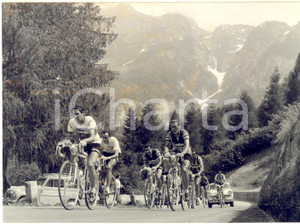 1958 CICLISMO GIRO D'ITALIA Gastone NENCINI Ercole BALDINI Jean BRANKART *Foto