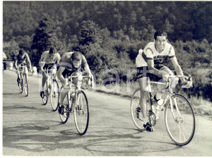 1958 CICLISMO TRE VALLI VARESINE Aldo MOSER Gastone NENCINI Giorgio TINAZZI