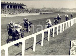 1955 DONCASTER Meld ridden by Harry CARR wins the St. Leger Stakes *Photo 20x15