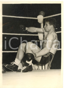 1956 BOXE LONDON Wembley Pool - Giannino LUISE goes down in the third round