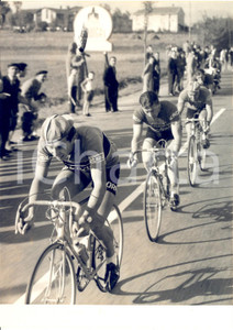 1955 CICLISMO GIRO DI LOMBARDIA Fuga di Cleto MAULE René PRIVAT Angelo CONTERNO