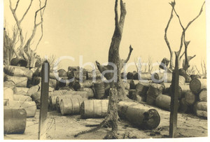 1955 USUMBURA (BURUNDI) Deposito con fusti distrutti da un incendio (3) Foto  Fotografia d'epoca.FOTOGRAFO: Photo Neu - Usumbura GOOD/buono  Formato: 14x10 cm originale e autentica 1