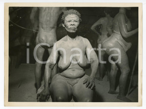 1960 ca CAPE TOWN S.A. Museum Life cast from cape Bushman from CARNARVON - Photo  Fotografia originale d'epoca, con didascalia al verso.CONDIZIONI: FAIR (piccoli fori di affissione e lievi piegature angolari)FORMATO: 22x17 cm    originale e autentica 1