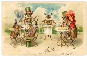 1904 ANIMALS INSECTS Lunch - Anthropomorphic vintage postcard  Cartolina postale d'epoca, viaggiata.CONDIZIONI: POOR (piegature varie e ingiallimenti)FORMATO: FP    originale e autentica 1