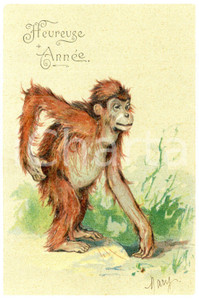 1900 ca HEUREUSE ANNÉE Un jeune orang-outan - Embossed postcard FP NV  Cartolina postale d'epoca, non viaggiata ma con nota manoscritta al verso.CONDIZIONI: GFORMATO: FP    originale e autentica 1