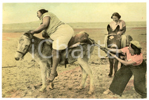 1950 ca FRANCE - HUMOUR  Fat woman on a donkey - Postcard FP NV  Cartolina postale d'epoca, non viaggiata.CONDIZIONI: FAIRFORMATO: FP    originale e autentica 1