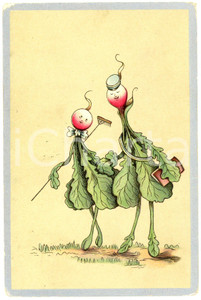 1909 HUMOUR Radishes on a stroll ANTHROPOMORPHIC Illustrated Postcard FP VG  Cartolina postale d'epoca, viaggiata.CONDIZIONI: FAIR (smussature e sbrecciature agli angoli)FORMATO: FP    originale e autentica 1