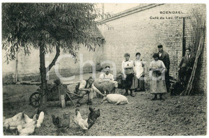 1910 ca BONDAEL (BELGIQUE) Café du Lac - Ferme - Carte postale ANIMEE RARE  Cartolina postale d'epoca, non viaggiata.Pubblicit&agrave; del caff&egrave;-ristorante al verso.CONDIZIONI: GFORMATO: FP    originale e autentica 1