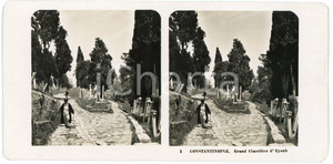 1906 CONSTANTINOPLE (TURKEY) Grand Cimetière d'EYOUB *Stereoview STEGLITZ-BERLIN  Fotografia stereoscopica d'epoca.CONDIZIONI: GEDITORE: Steglitz-Berlin     originale e autentica 1
