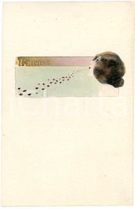 1910 ca ART NOUVEAU Lady blowing poppies - Illustrated postcard  Cartolina postale d'epoca, non viaggiata. GOOD/buono  Formato: 9x14 cm originale e autentica 1