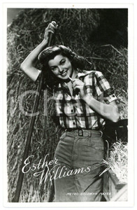 1950 ca CINEMA Esther WILLIAMS Postcard METRO GOLDWYN MAYER - FP NV  Cartolina postale d'epoca, non viaggiata.CONDIZIONI: GOODFORMATO: FP    originale e autentica 1